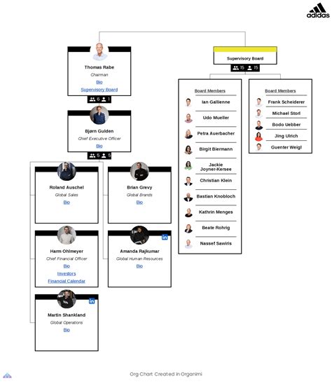 organizational structure of adidas pdf